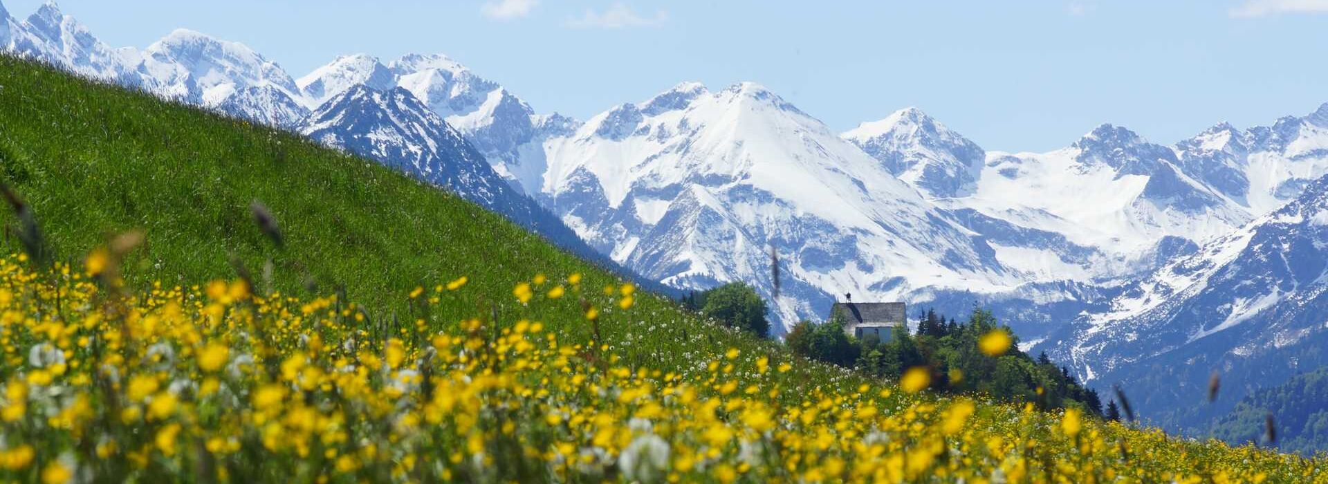 A blooming meadow in spring with Schöllang Castle and the snow-covered Alps in the background