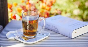 A cup of tea with a tea bag and a novel next to it lying on a lounger in the hotel garden