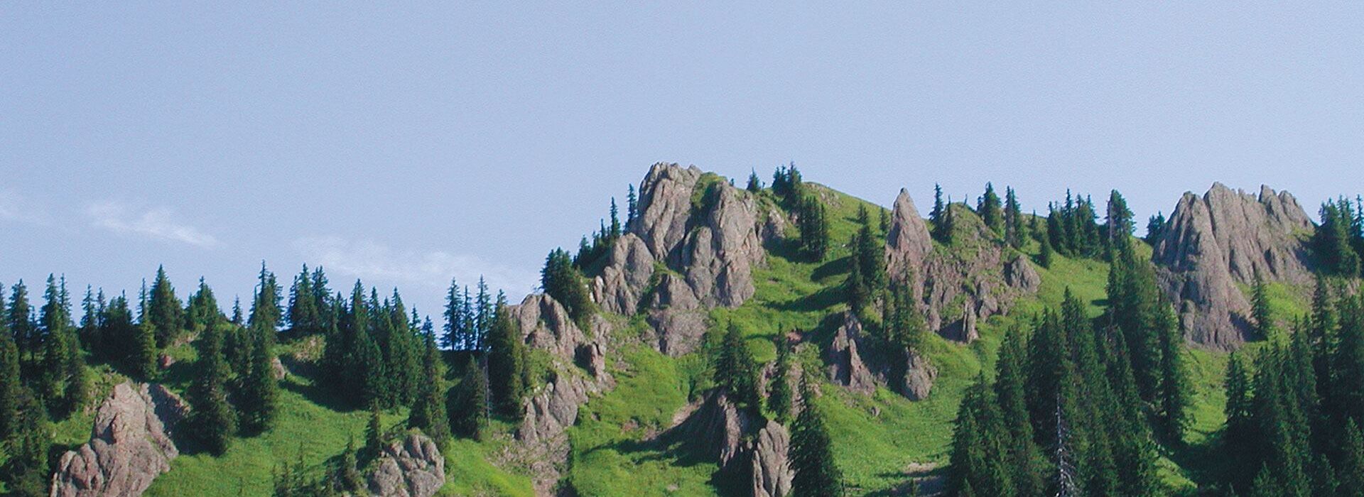 Stony peaks of a mountain ridge with trees and lush green meadows