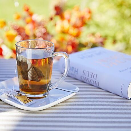 Eine Tasse Tee mit Teebeutel und einem Roman daneben liegen auf einer Liege im Garten des Hotels