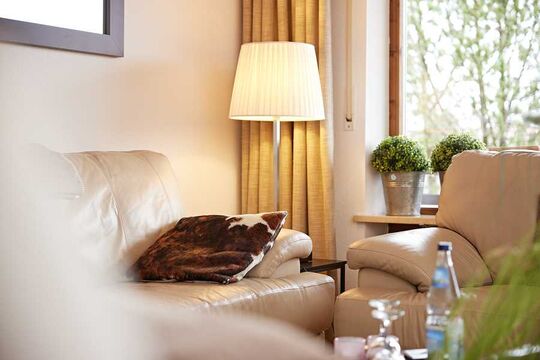 Close-up of the floor lamp next to the seating area in the living room of the hotel's vacation apartment
